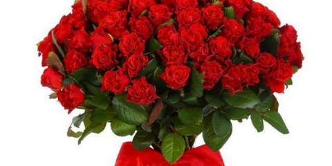 Ruža niknula u vazi: kako posaditi